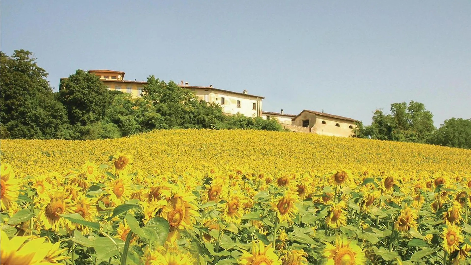 Villa Di Collina Vicchio Italy